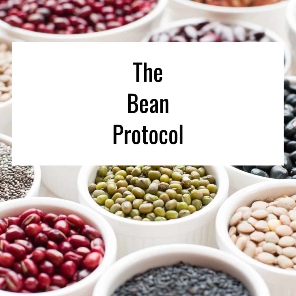 The Bean Protocol Review 

											- 13 Things You Need to Know