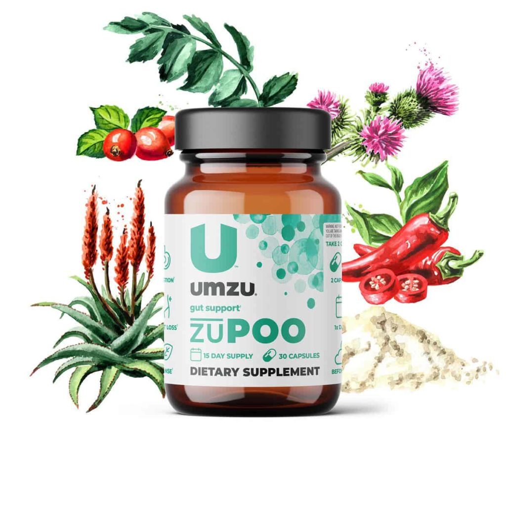 UMZU zuPOO Review 

											- 14 Things You Need to Know