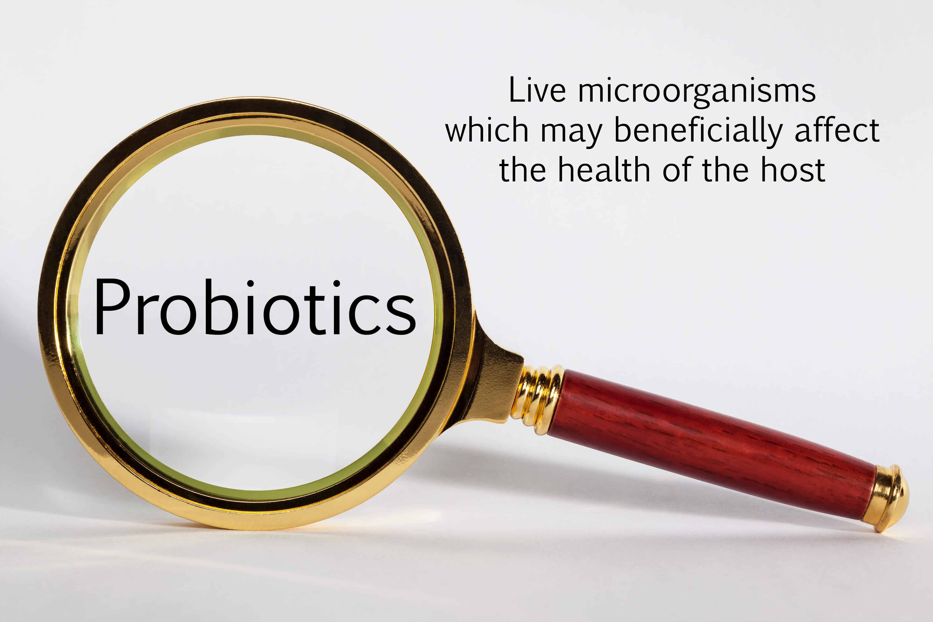 Hydroxycitric Acid vs Probiotics