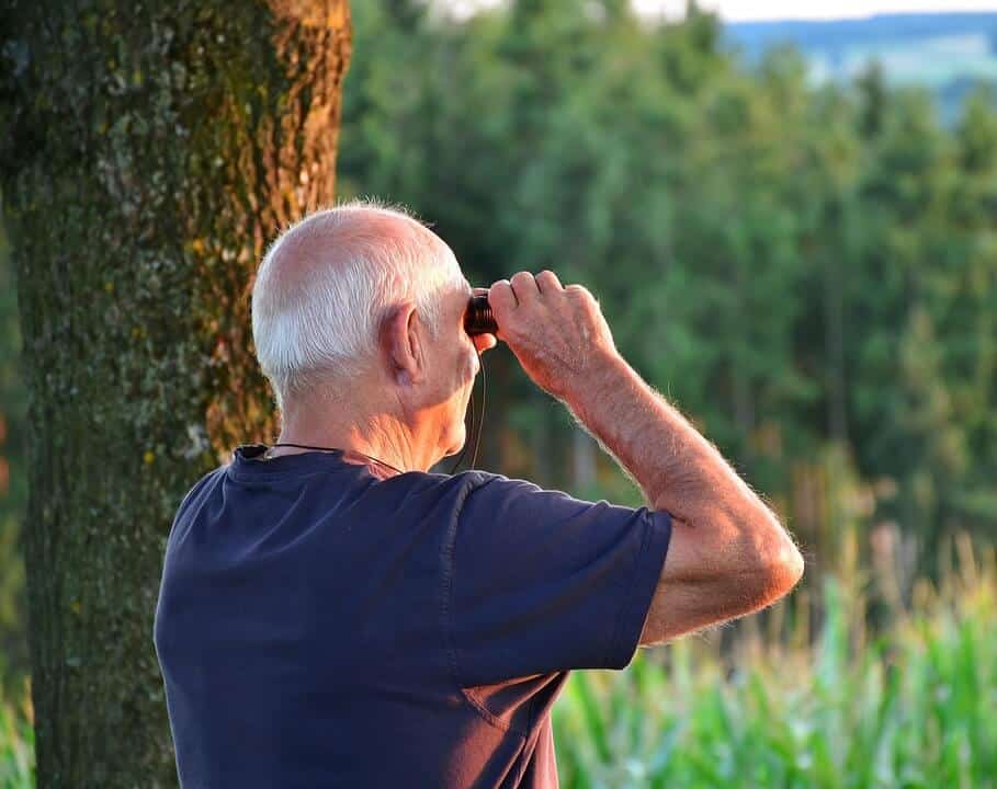 birdwatching improves health