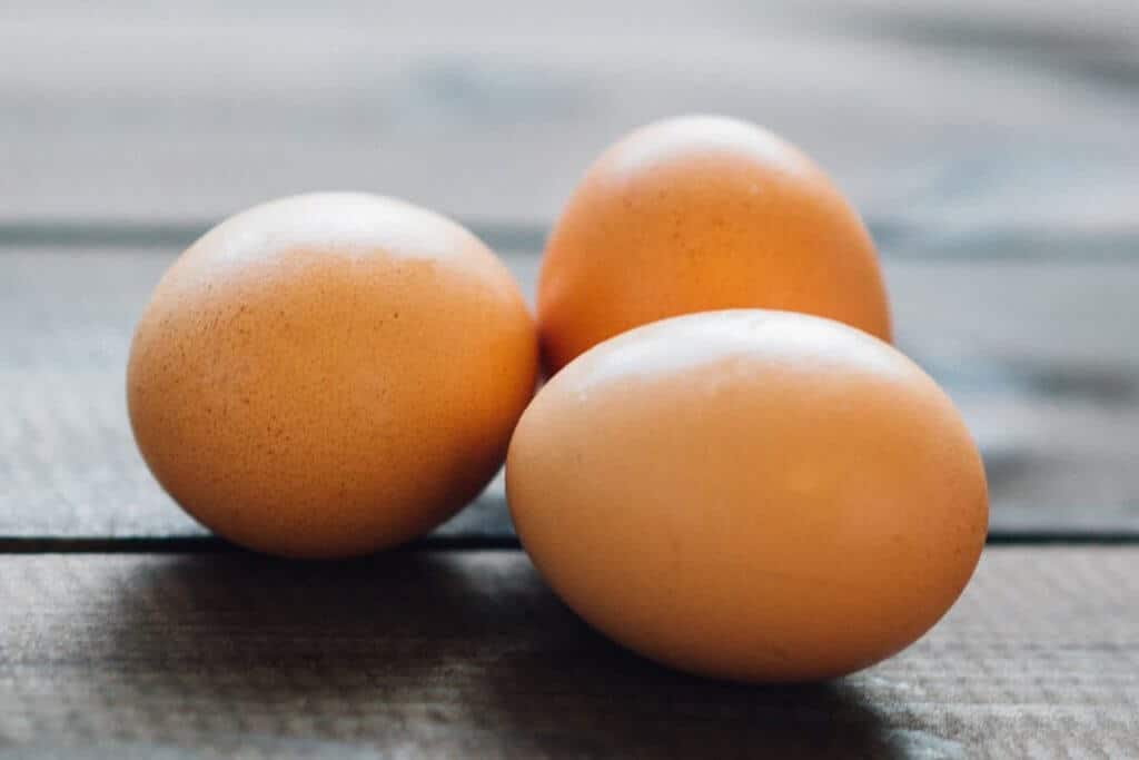 Egg Nutrition