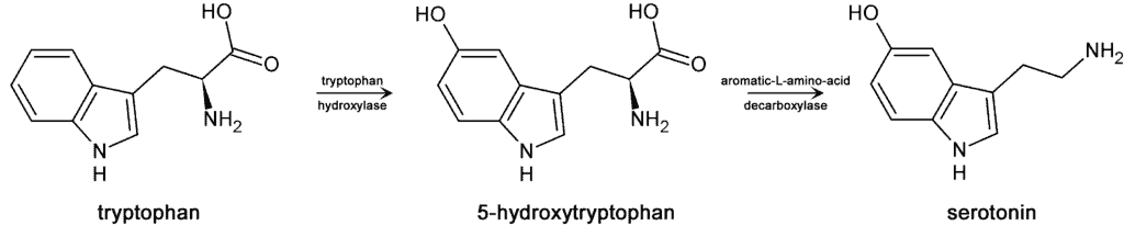 What Does 5-HTP Do