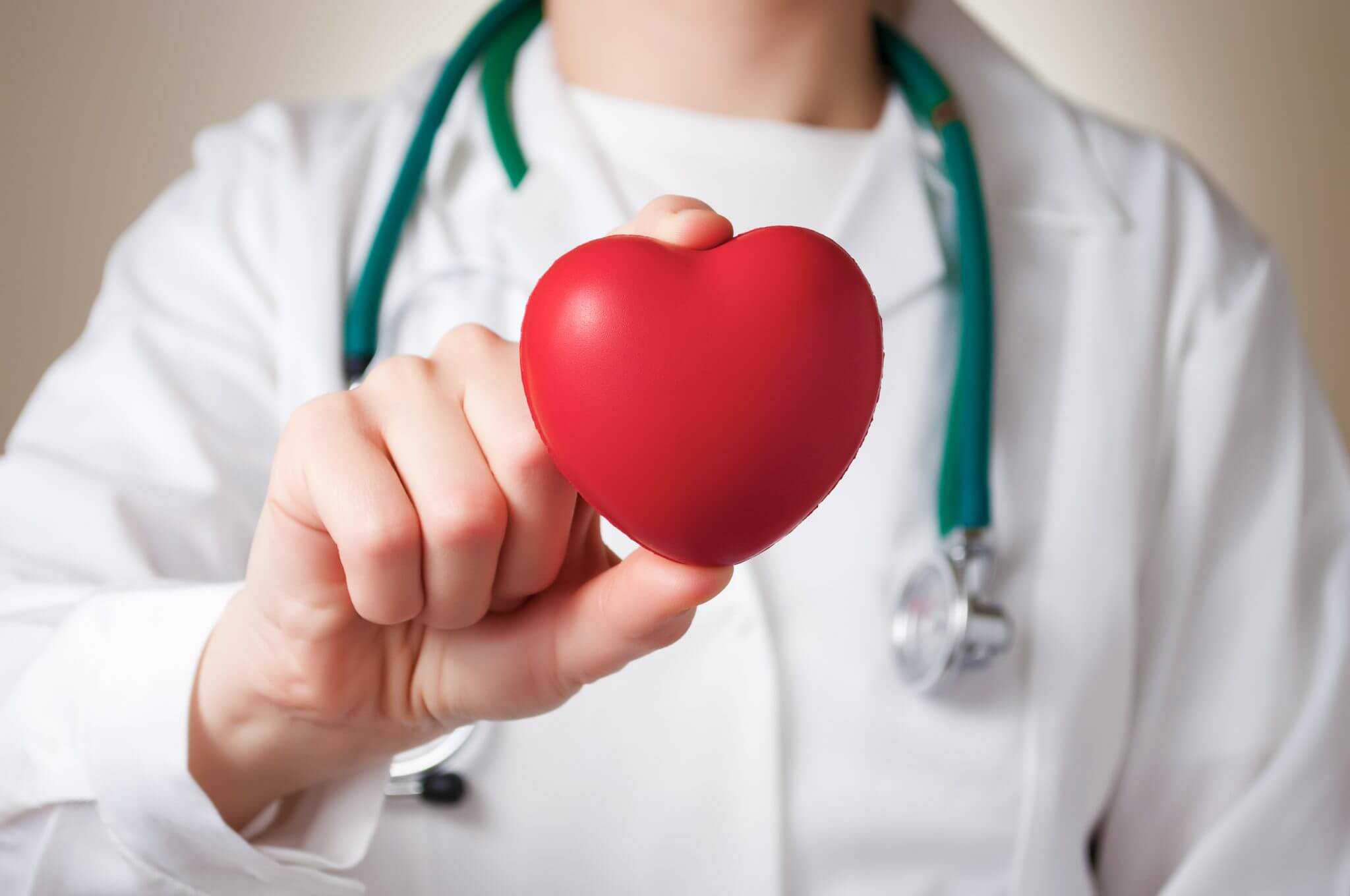 White Kidney Bean Heart Health