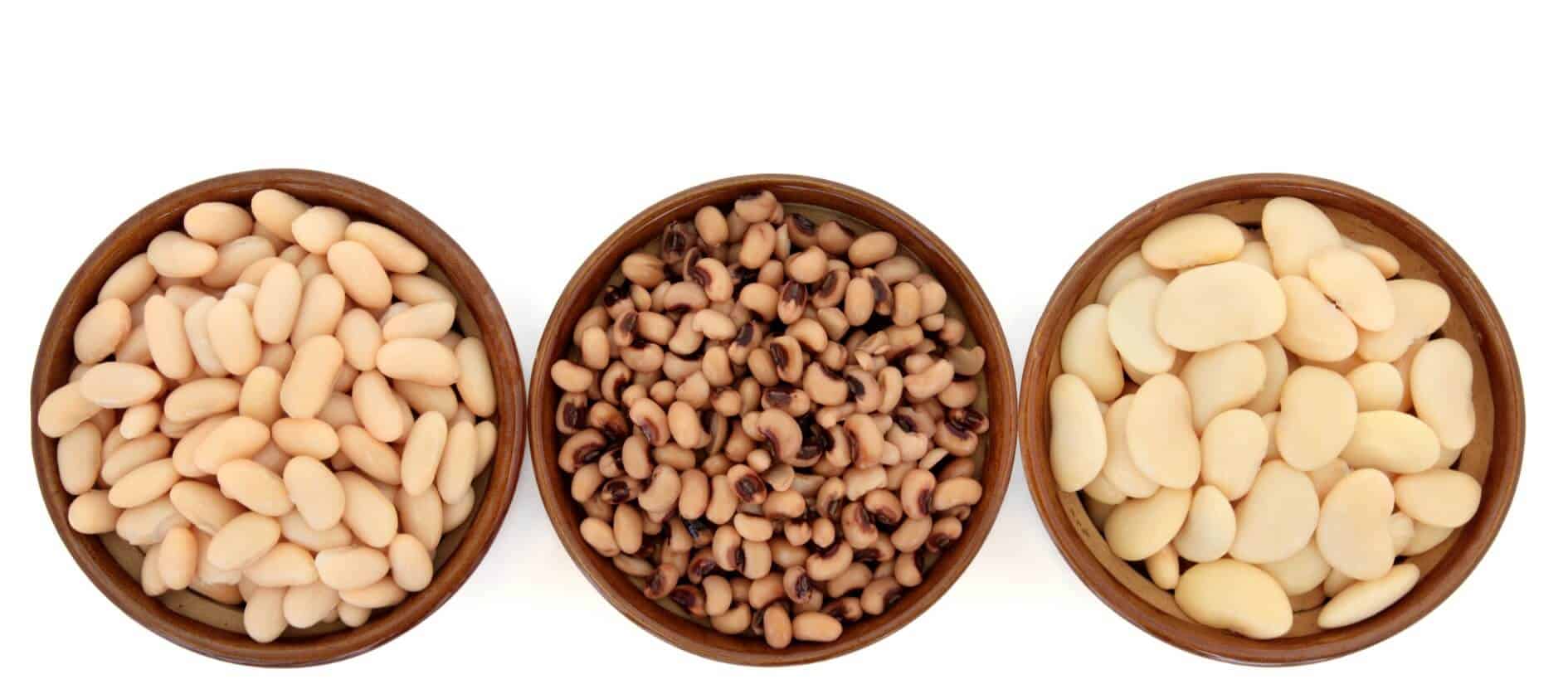 Bottom Line White Kidney bean