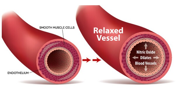 Nitric Oxide Safety