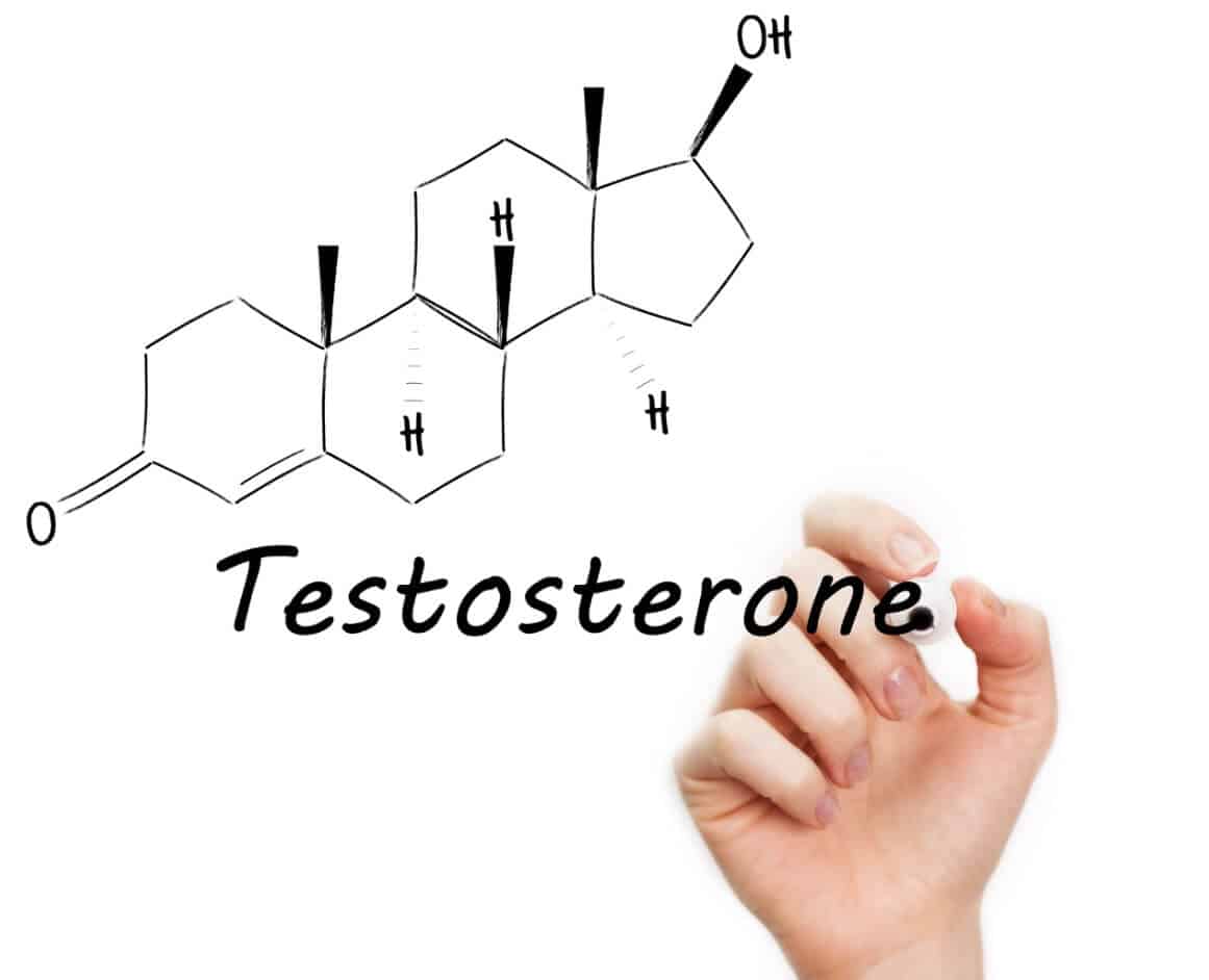 Male Performance and Testosterone hormone