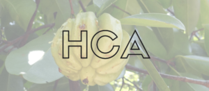Hydroxycitric Acid 

															- 15 Things You Need to Know