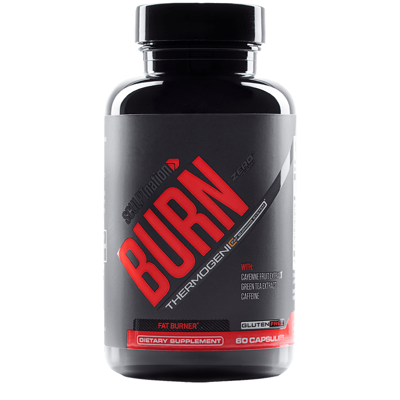 Sculpt Nation Burn Evolved Review 

											- 12 Things You Need to Know